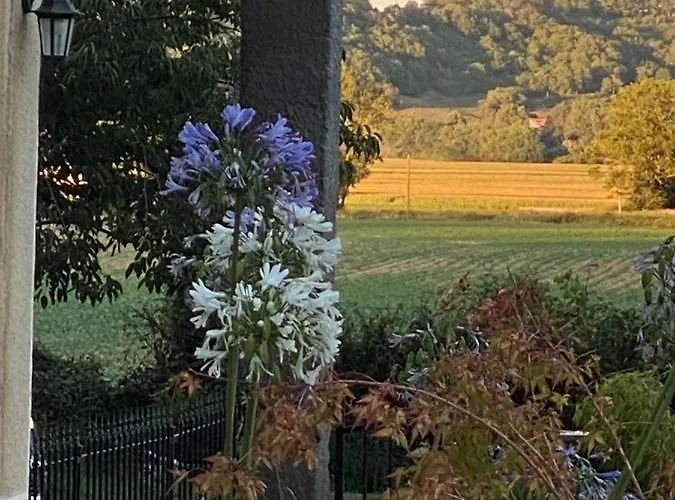 招待所 L'eveil Des Sens