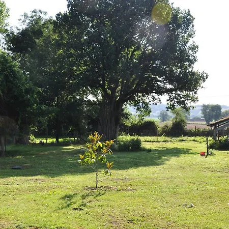 Gasthuis L'eveil Des Sens *