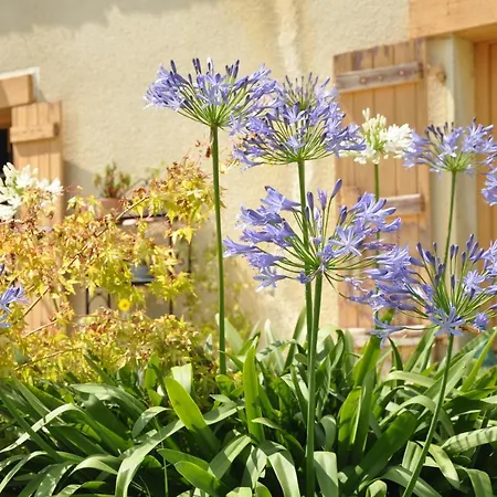 L'eveil Des Sens Gasthuis Auriébat