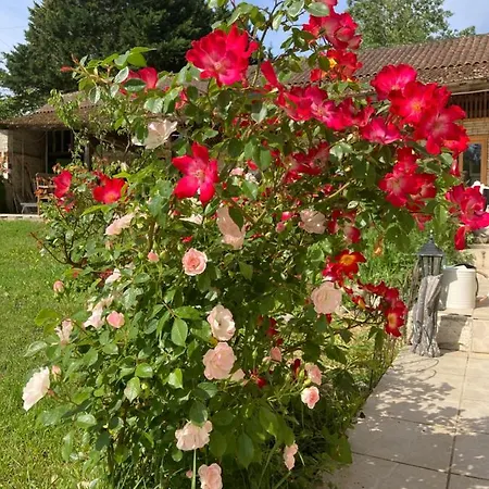 L'eveil Des Sens Penzion *