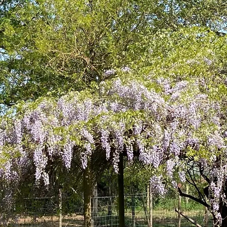 Gasthuis L'eveil Des Sens