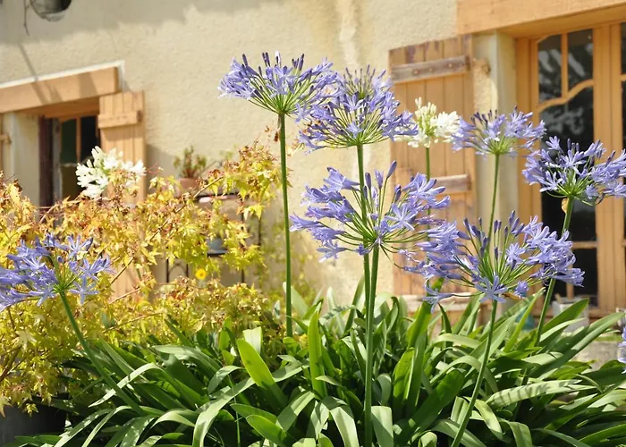 L'eveil Des Sens Πανσιόν Auriébat